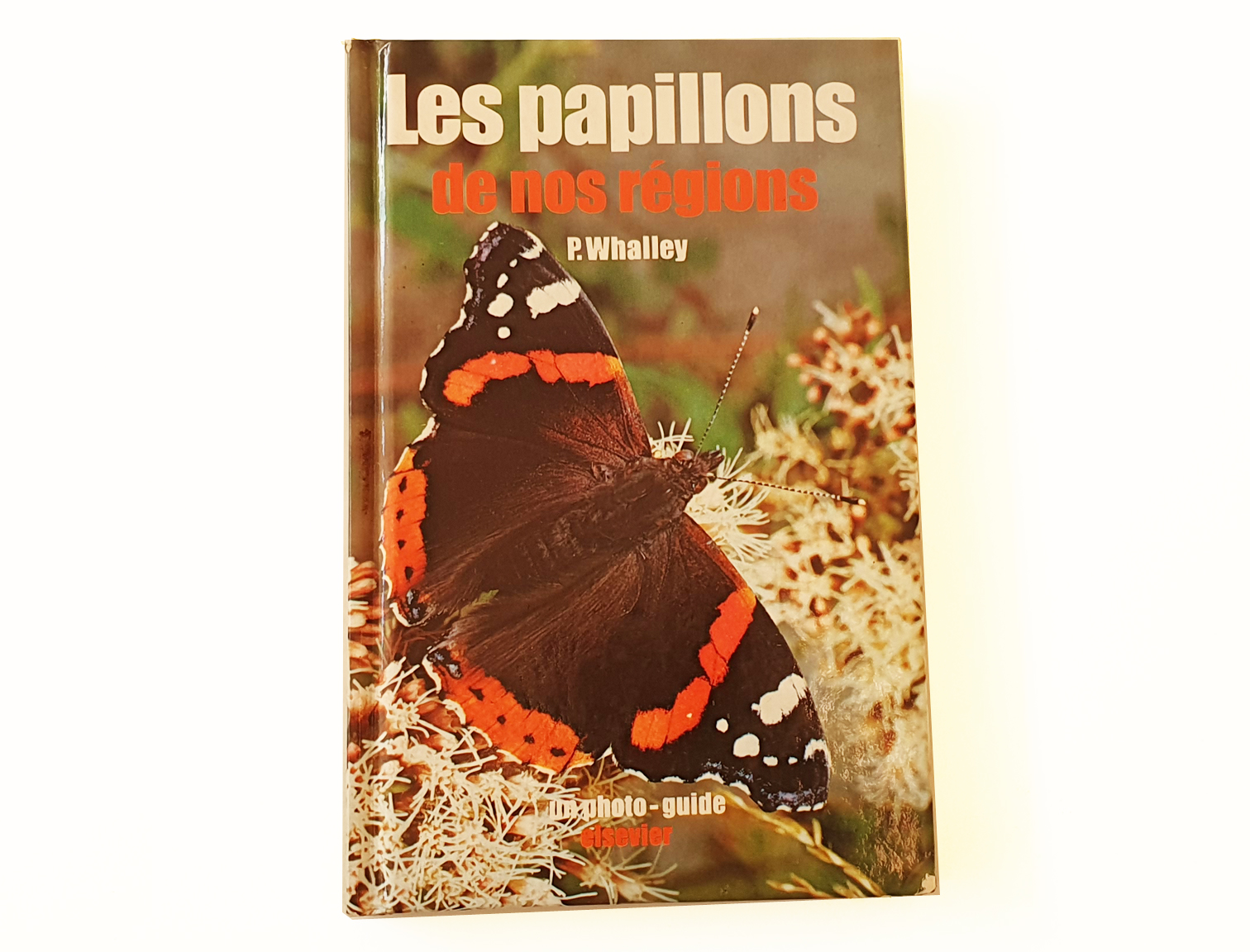 les-papillions-de-nos-regions