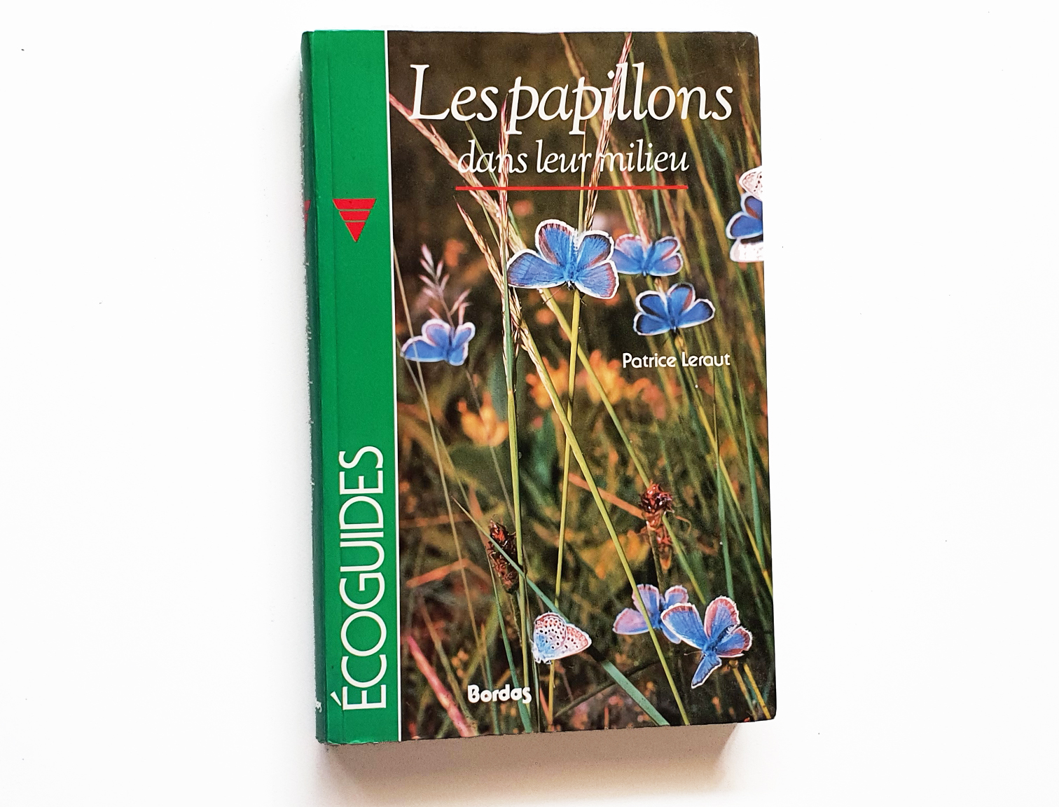 les-papillons-das-milleur