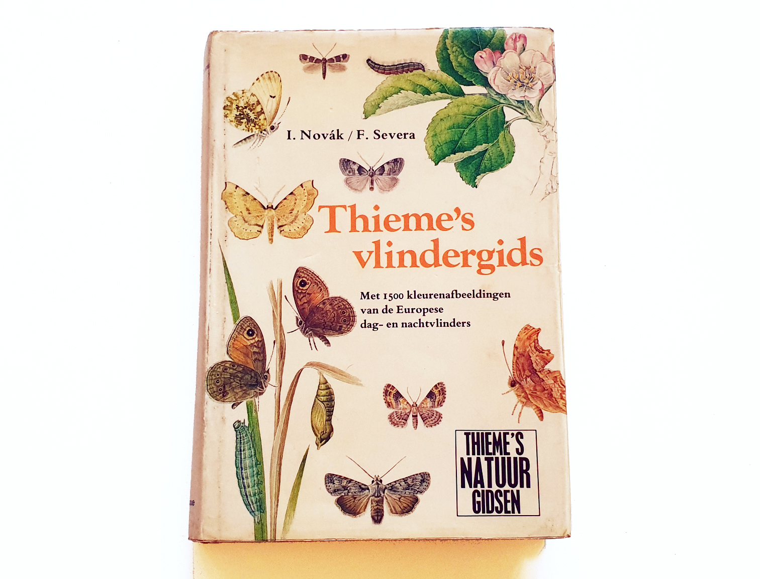 thiemes-vlindergids