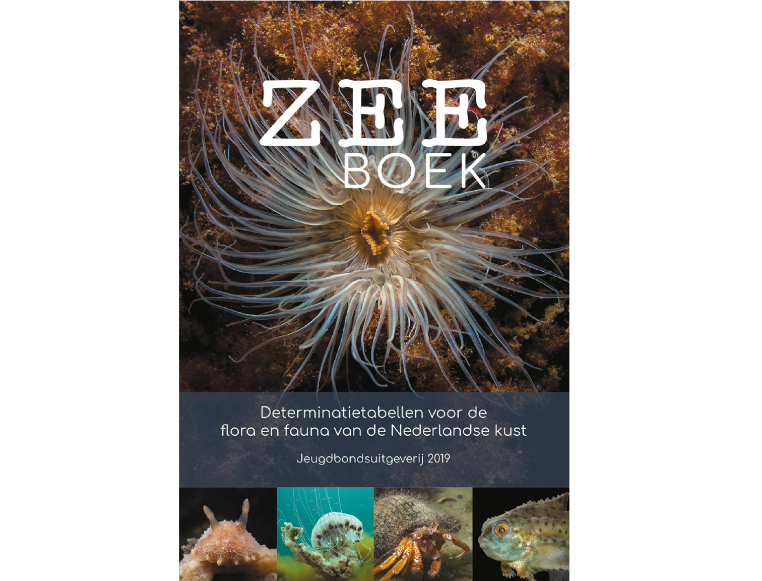 zeeboek1