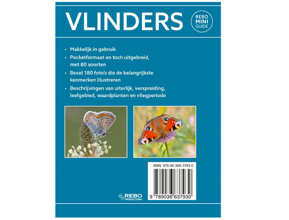 rebo-vlinders1