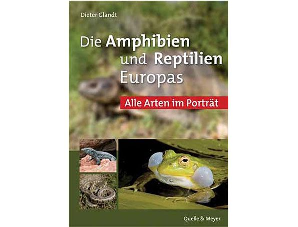 QM-amphibieen-europas
