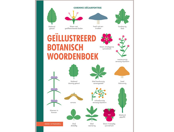 geïllustreerd_botanisch_woordenboek