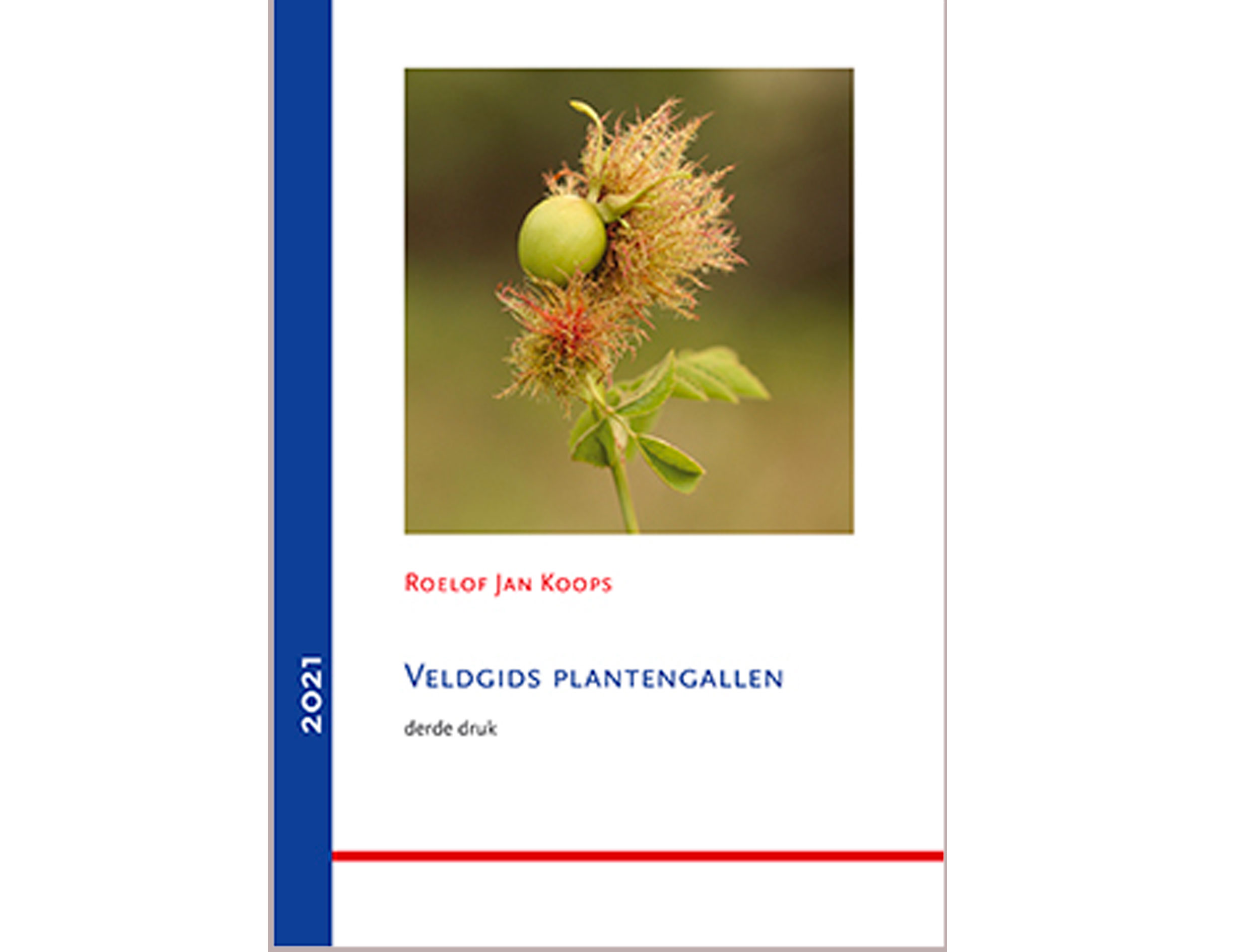 Plantengallen_EIS