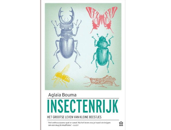 insectenrijk-aglaia-bouma-budget