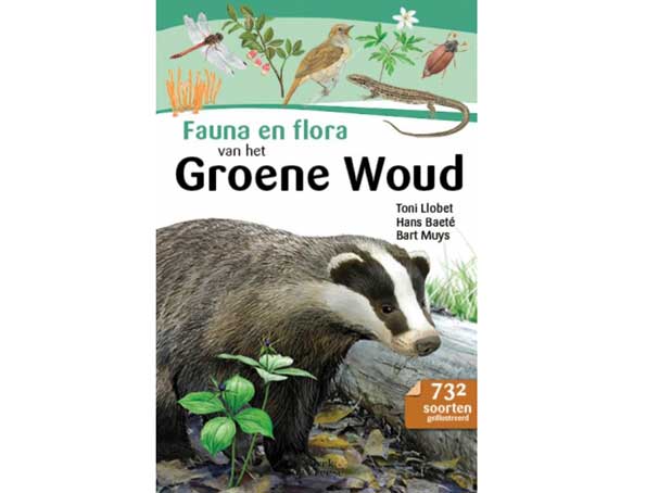 flora-en-fauna-groene-woud