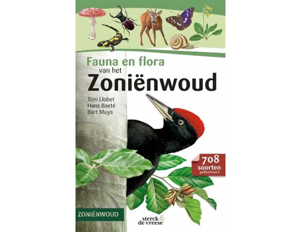 flora-en-fauna-zonienwoud