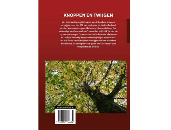 knoppen-en-twijgen2