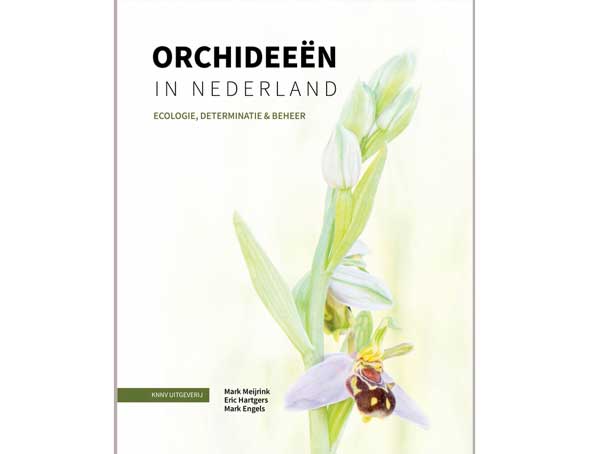 orchideeën_in_nederland