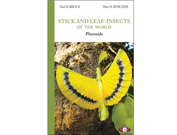 stick-and-leaf-insects-of-the-world