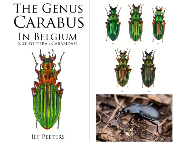 Book_Carabus