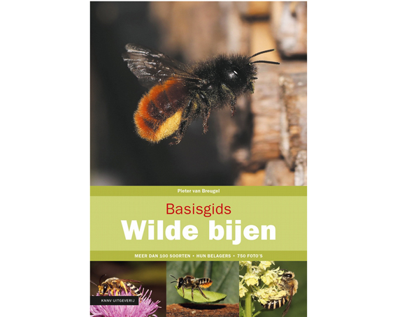 basisgids_wilde_bijen(11)