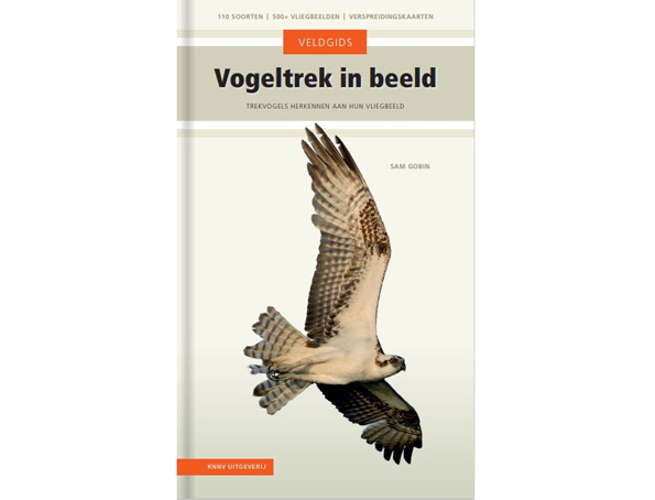 veldgids_trekvogels_in_beeld