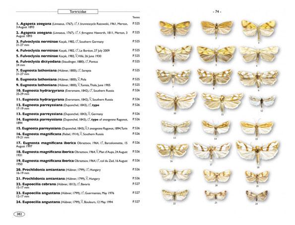 moth-of-europe-vol-7-microlepidoptera-1-(2)