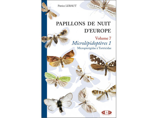 papillons-de-nuit-d-europe-vol-microlepidopteres-