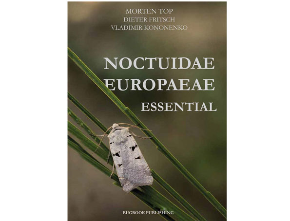 noctuidae-europaea