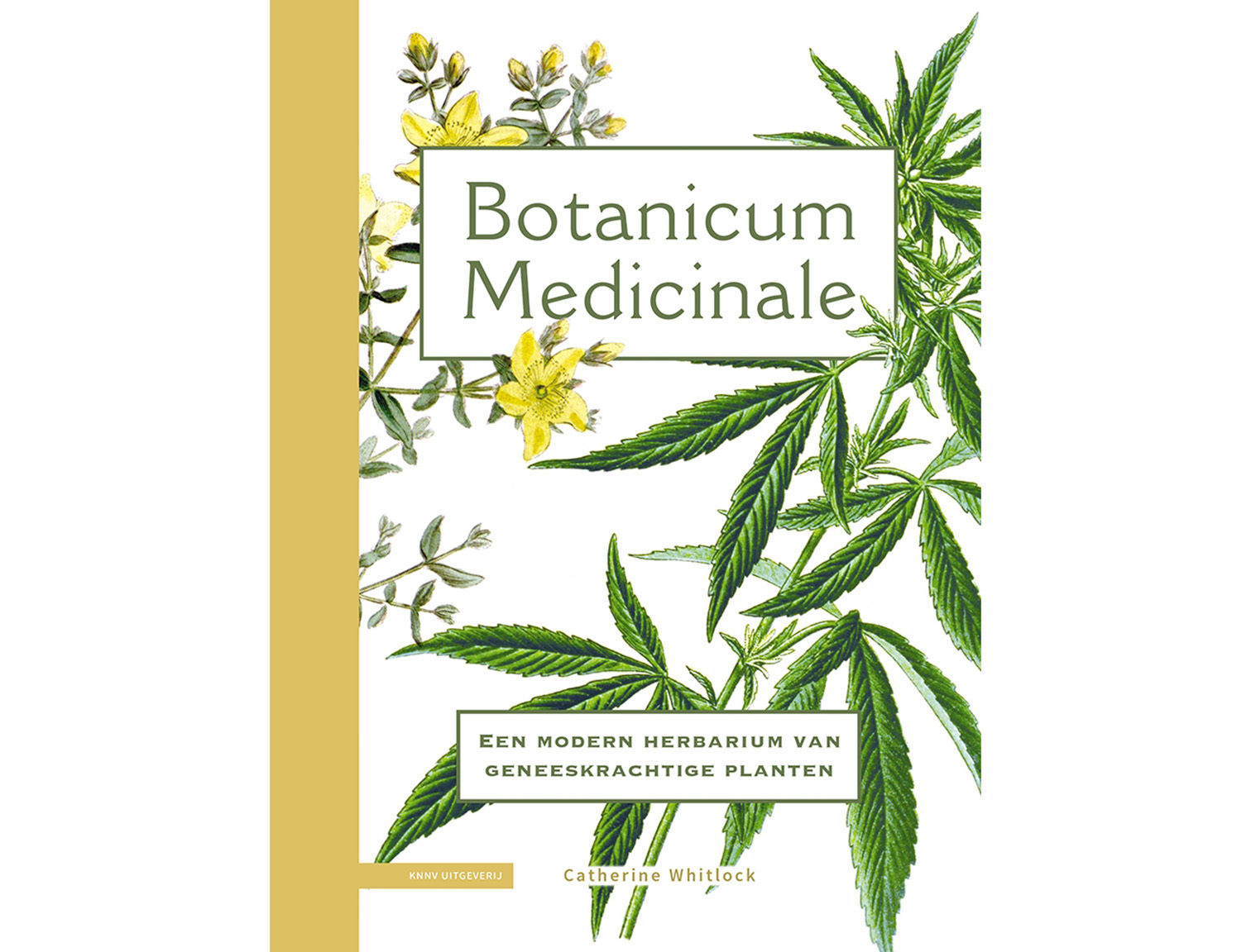 Botanicum Medicinale_omslag_HR.indd
