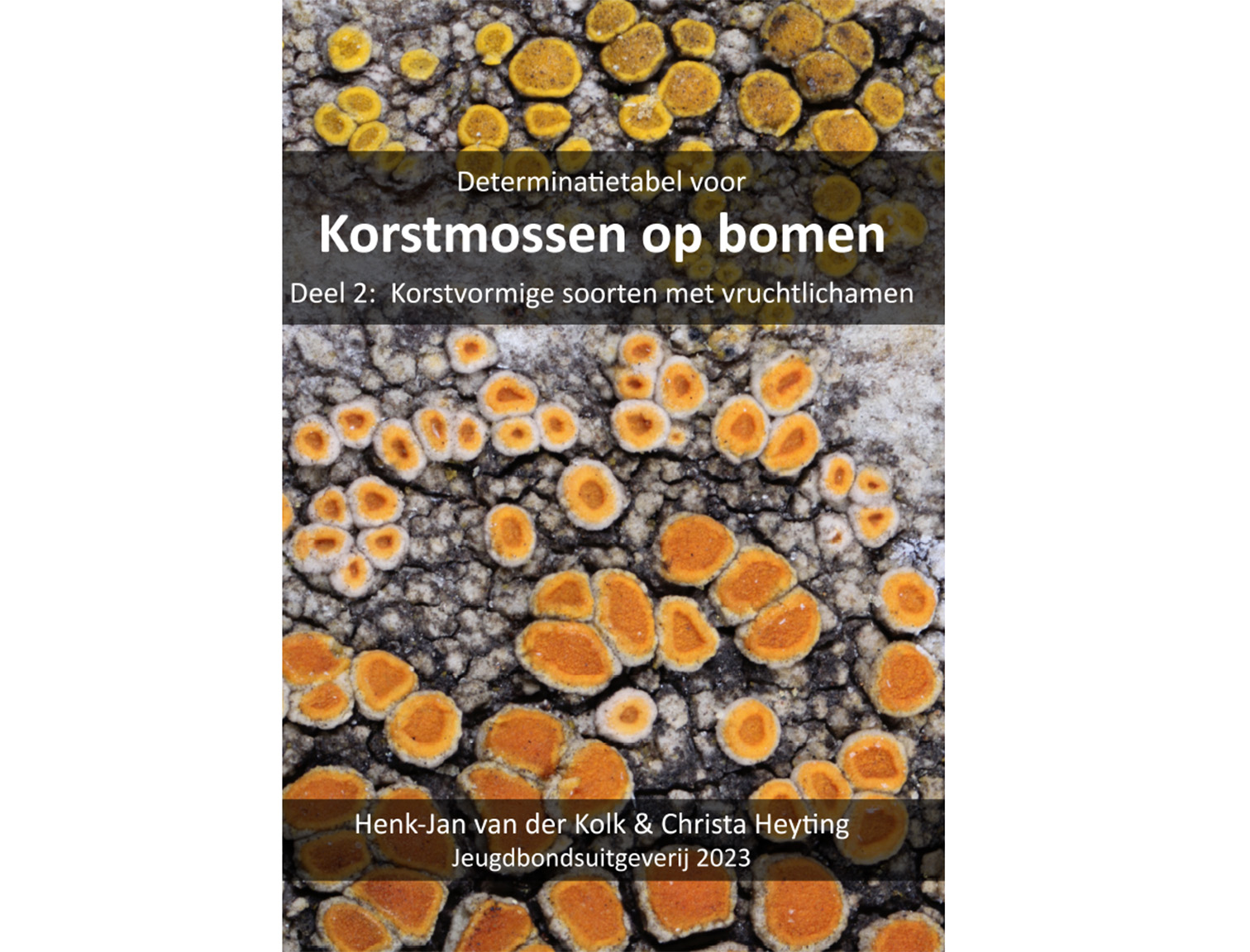 korstmossendeel2