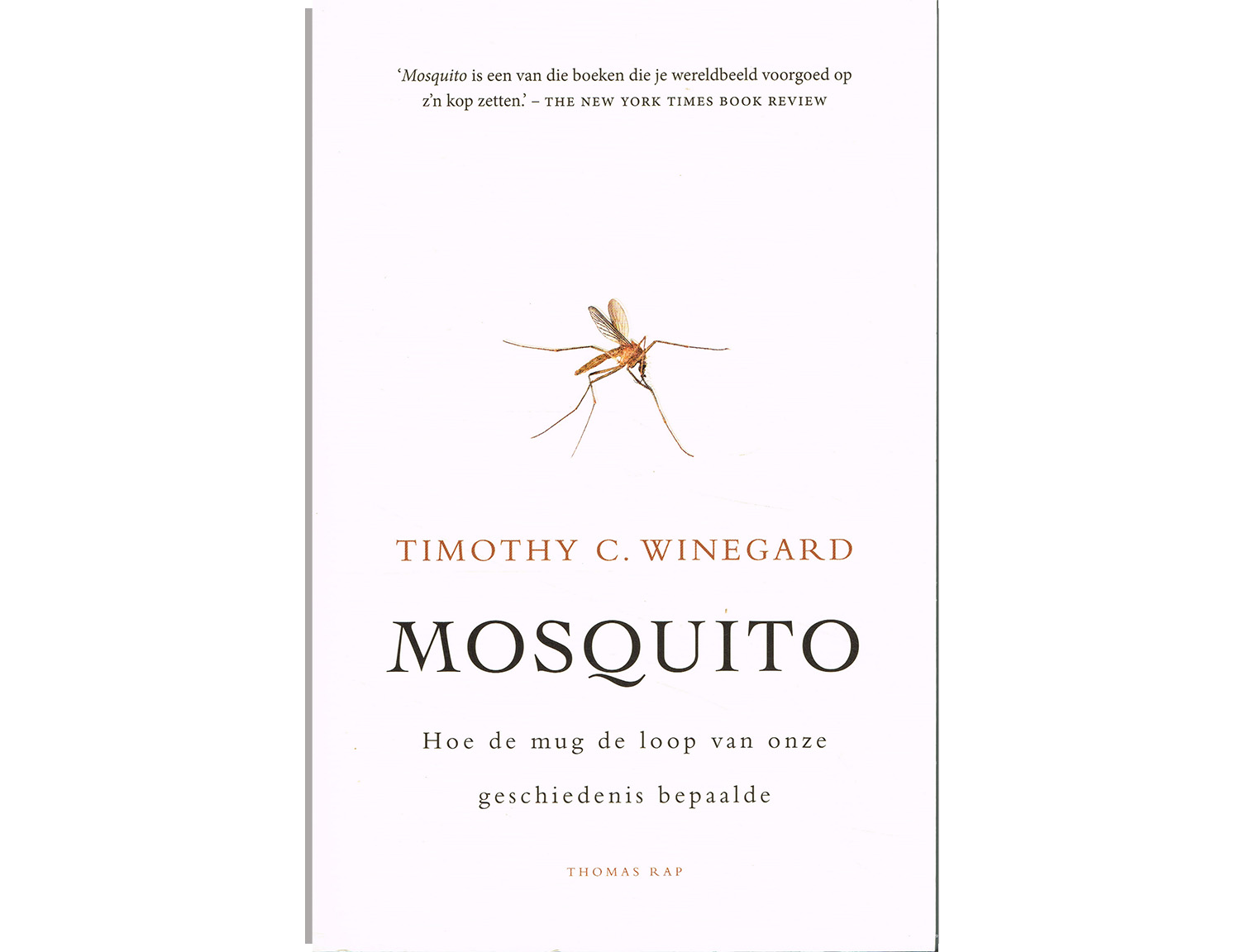 mosquito