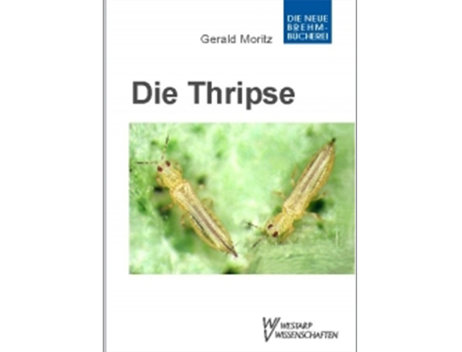 Thripse