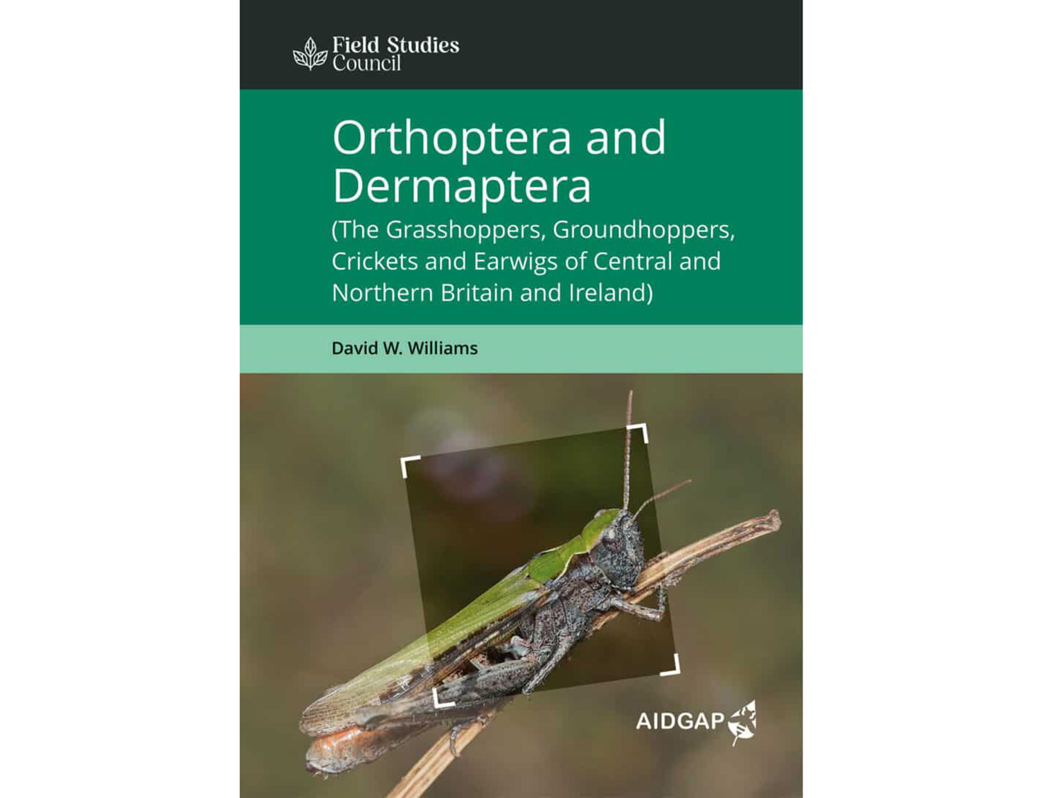OP223-Orthoptera-768x1088
