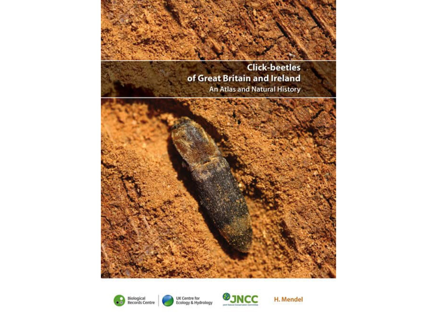 SP18-Click-beetles-atlas