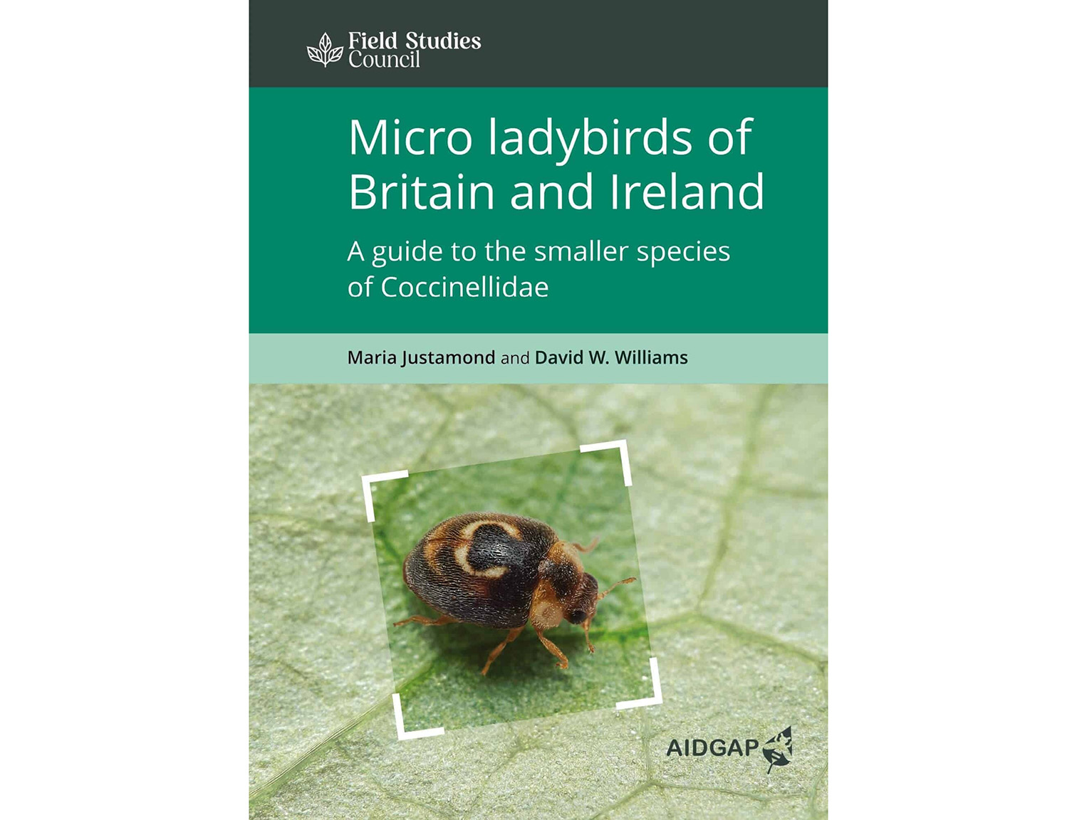 micro-ladybirds-of-britain-and-ireland-a-guide-to