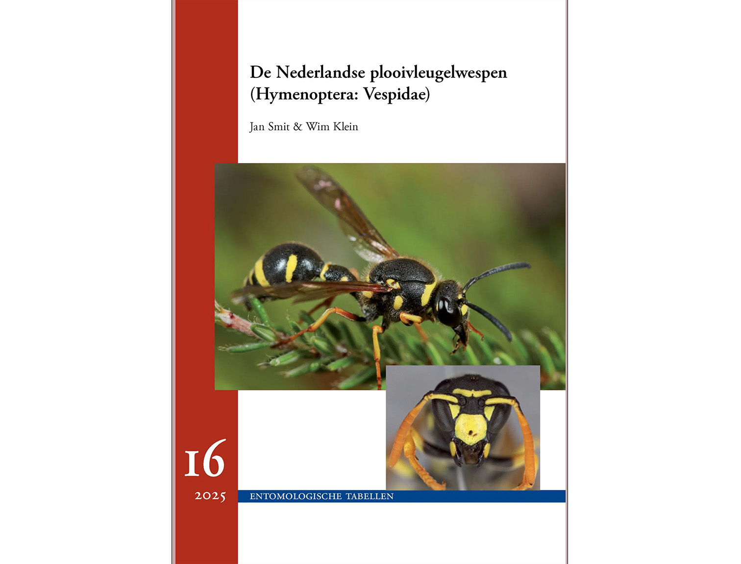 ET-16-plooivleugelwespen