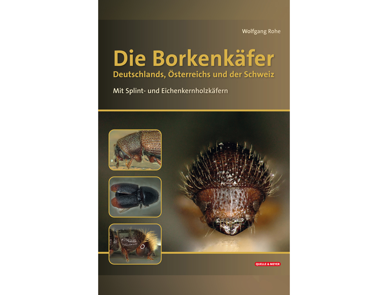 Borkenkaefer,QM