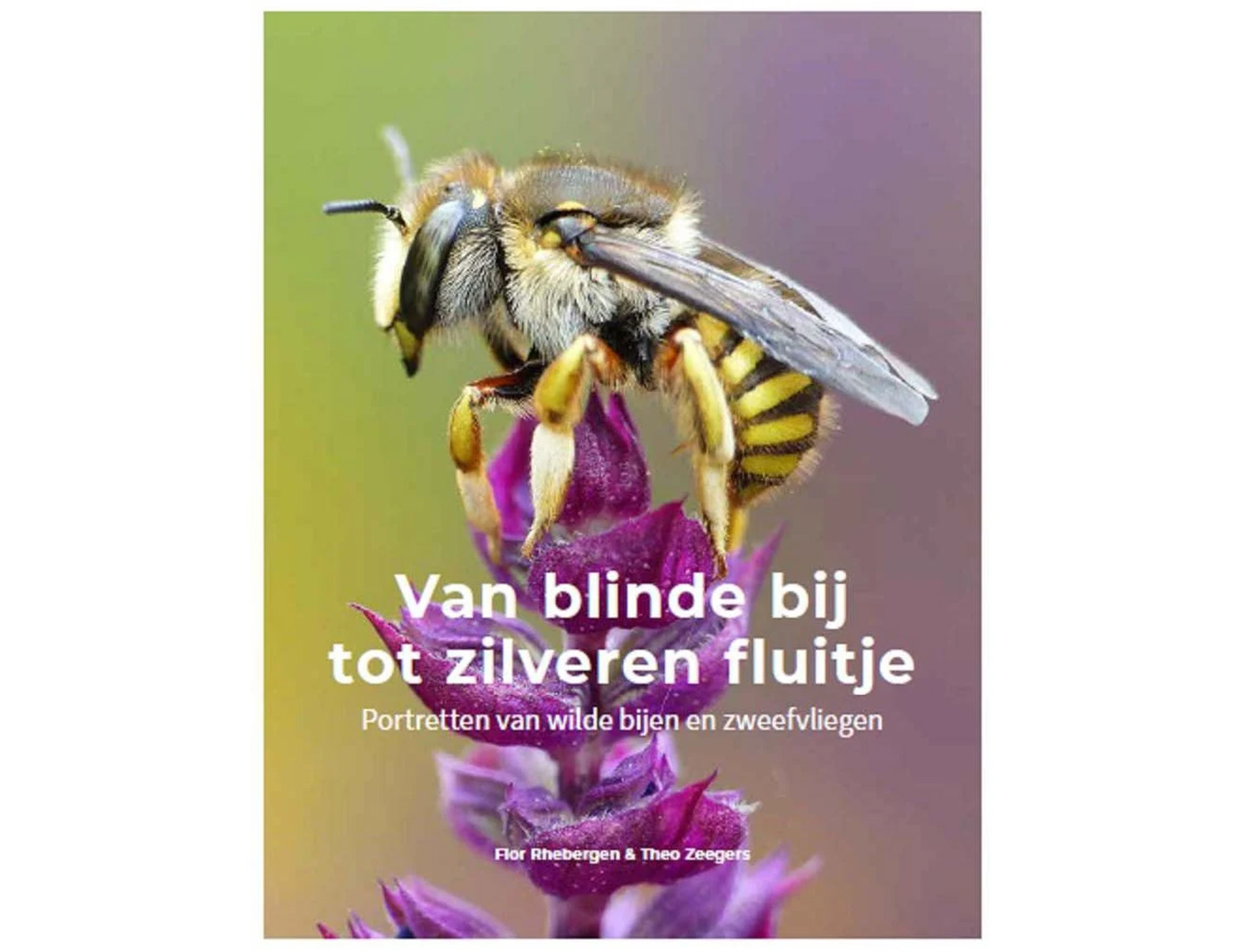van-blinde-bij-tot-zilveren-fluitje-portretten-van
