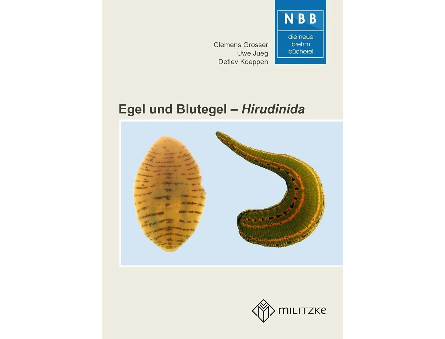 egel-und-blutegel-kaft