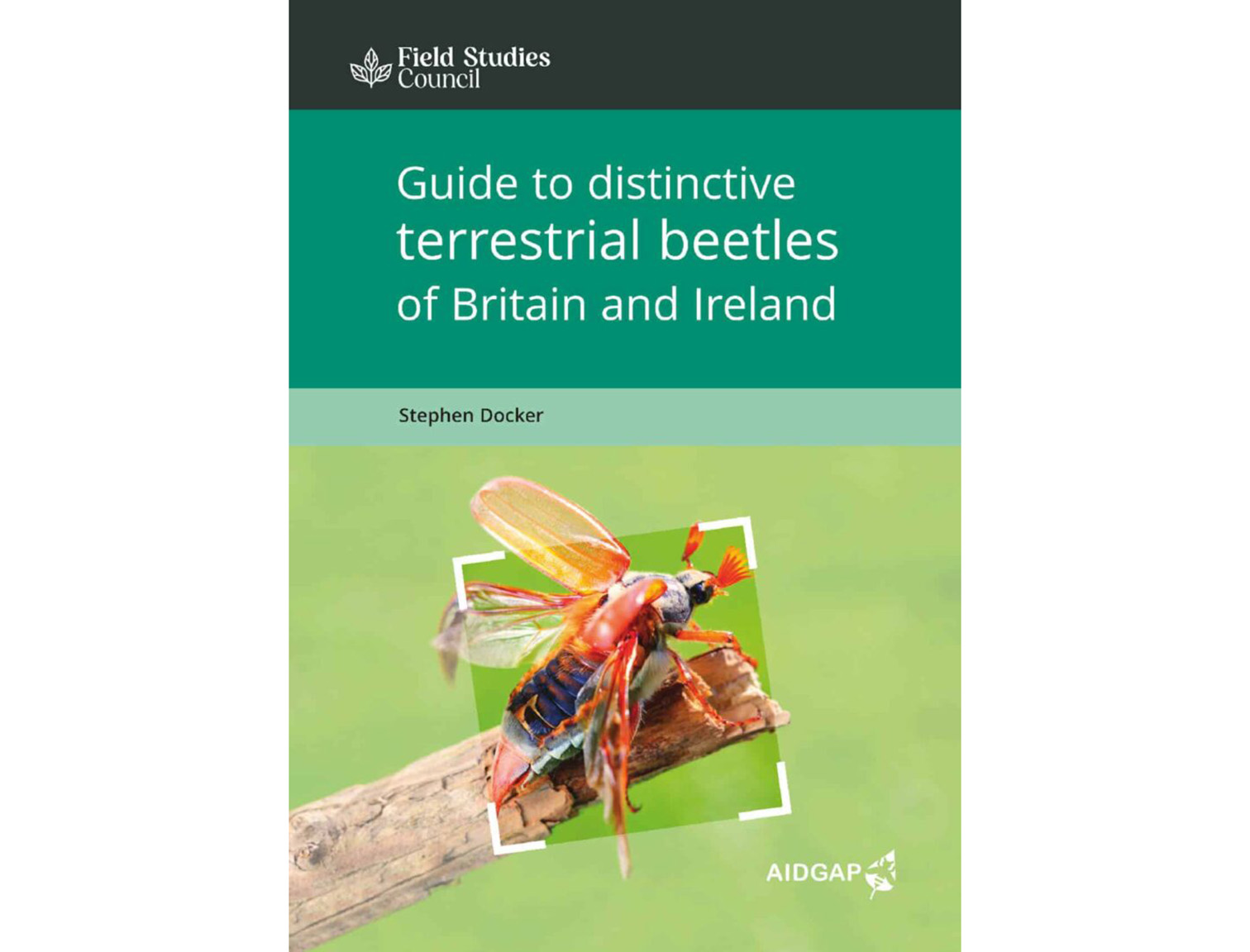 Distinctive-terrestrial-beetles