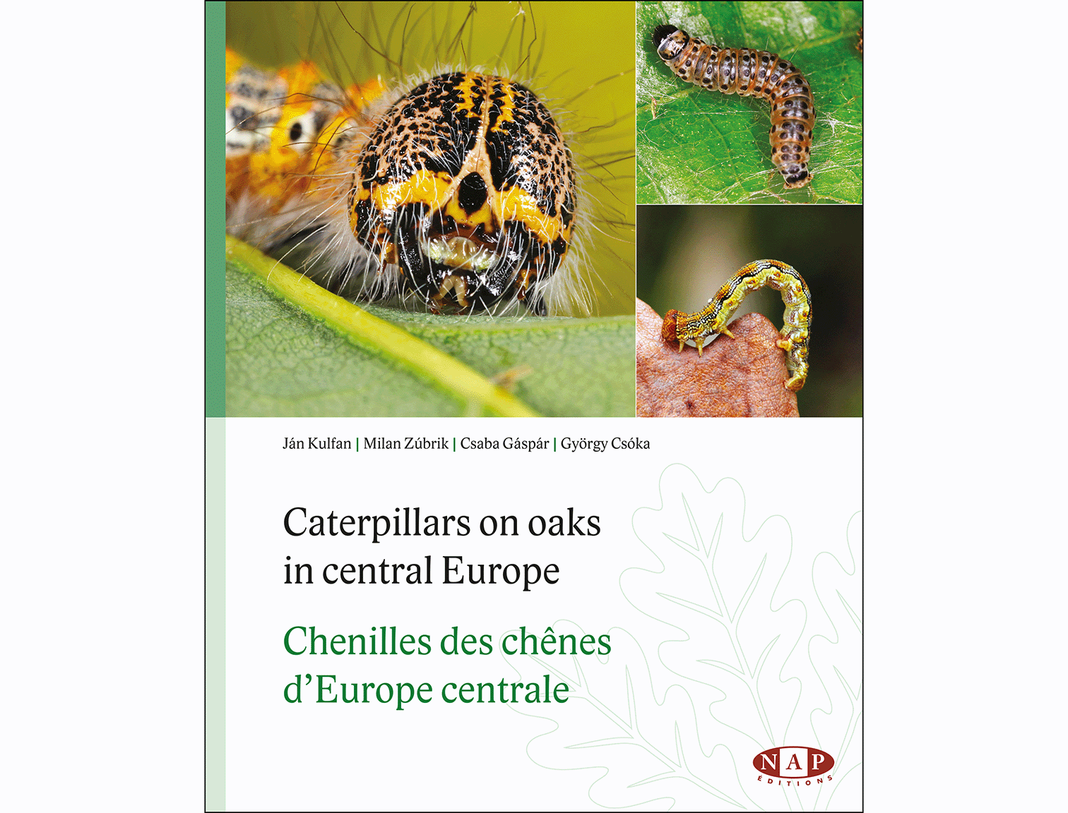 couv_chenilles_BD