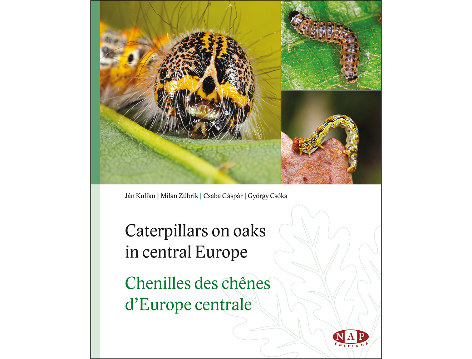 couv_chenilles_BD